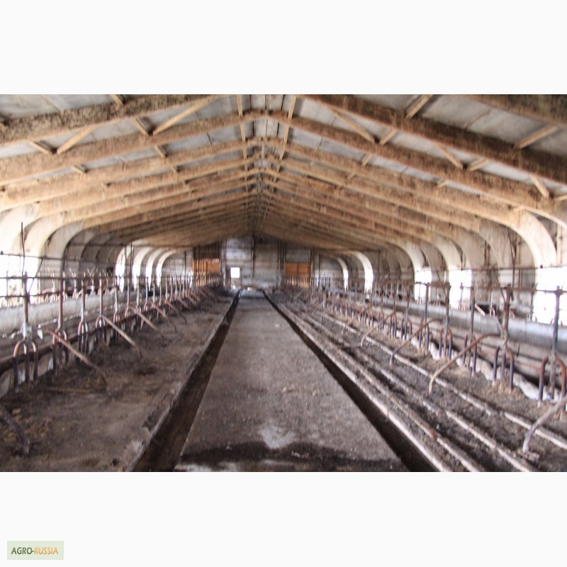 Фото 4. Ферма/коровник, помещение под производство и склад