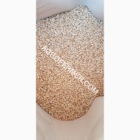 Семена пшеницы сорт FOX канадская трансгенная двуручка