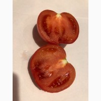 Продам вкусный розовый томат «Парадайз»