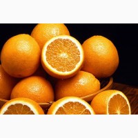 Продам апельсины оптом, Сирия
