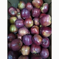 Продам яблоки Ред Чиф (Македония) со склада в Москве