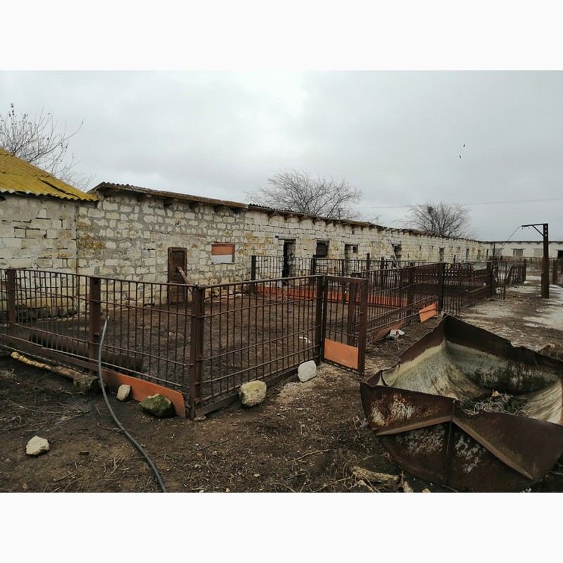 Фото 3. Продам свиноферму в Крыму (Керчь)