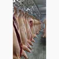 Продаем охлажденное мясо свинины оптом от 10 тонн