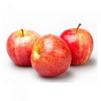 Закупаем свежие Яблоки Гала от 1 до 20 тонн на постоянной основе