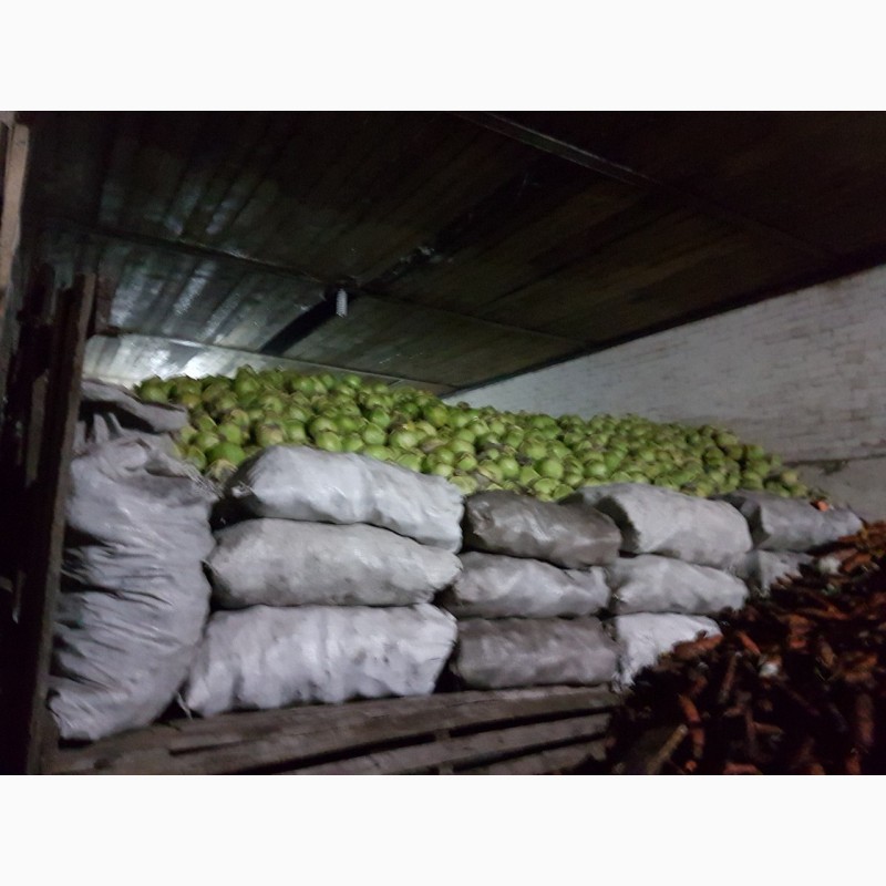 Фото 2. Продам капусту оптом от 10 тонн 9руб/кг