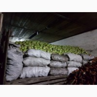 Продам капусту оптом от 10 тонн 9руб/кг