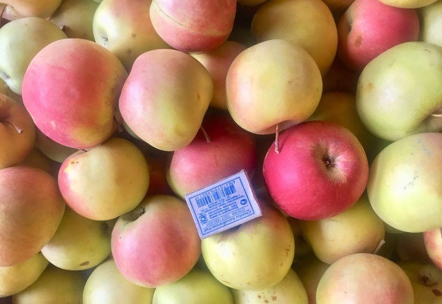 Фото 2. Оптовые поставки вкусных яблок от агрофирмы