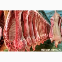 Свинина оптом в полутушах от производителя