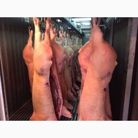 Свинина оптом в полутушах от производителя