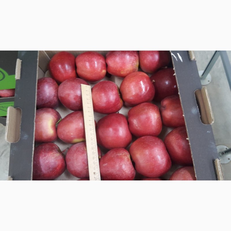 Фото 3. Яблоки разных сортов. Производитель