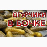 Огурцы Соленые. Бочковые. 9-14 см