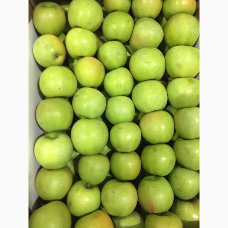 Фото 2. Яблоки сезонные различных сортов
