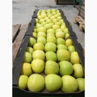 Яблоки сезонные различных сортов
