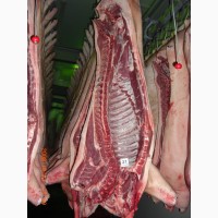 Мясо свинины оптом. Ферма в Брянской области. Доставка