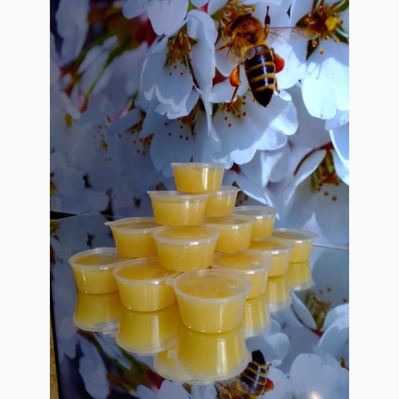 Фото 3. Мёд липово-цветочный, цветочная пыльца, перга