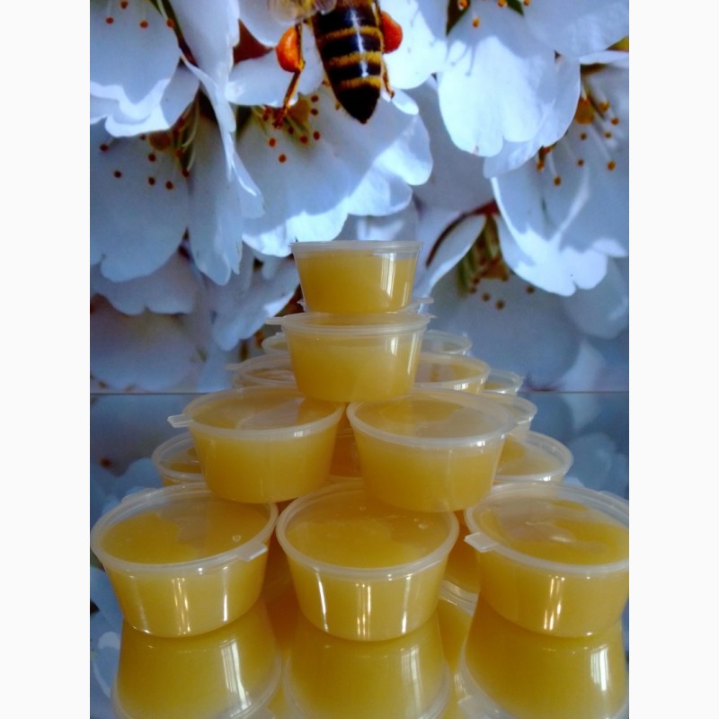 Фото 5. Мёд липово-цветочный, цветочная пыльца, перга