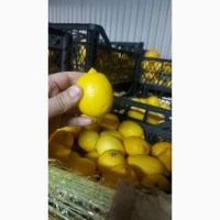 Лимоны оптом 1-2 сорта