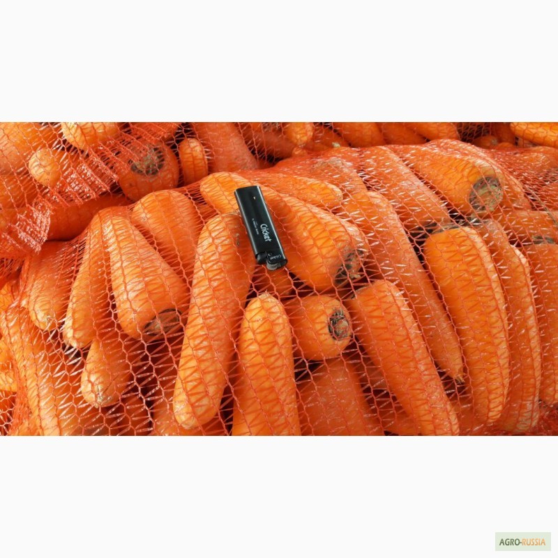 Фото 3. Реализуем морковь