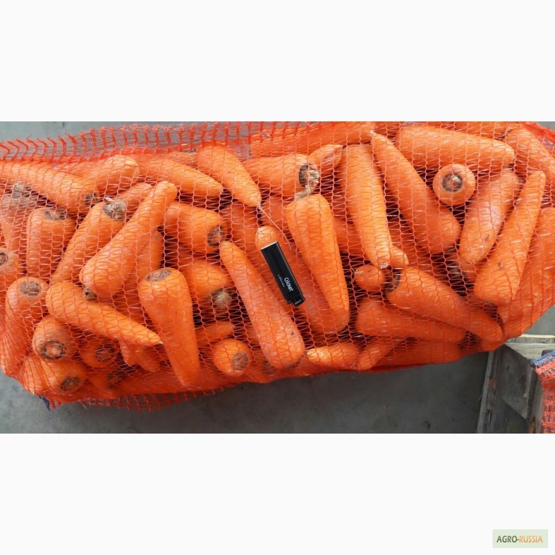 Фото 5. Реализуем морковь