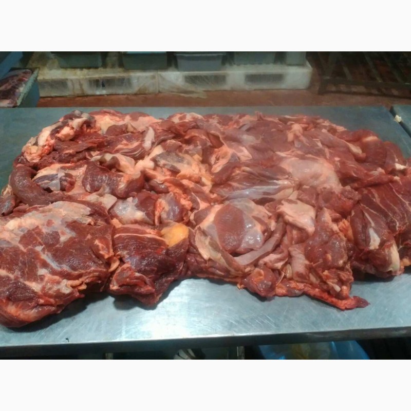 Фото 6. Мясо говядина оптом