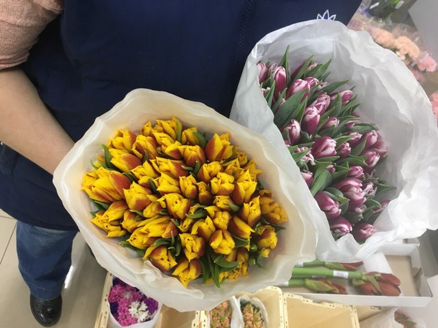 Фото 2. Тюльпаны оптом на 8 марта 2018 года