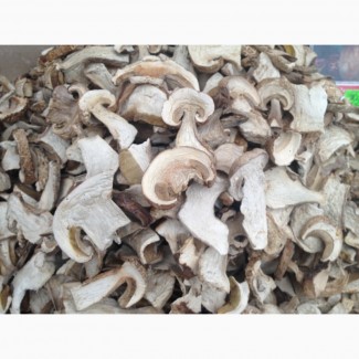 Продам гриб белый сушеный