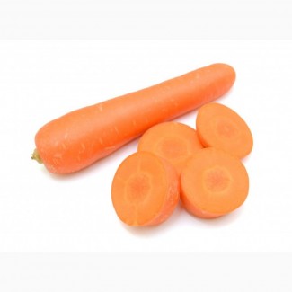 Семена моркови дордонь