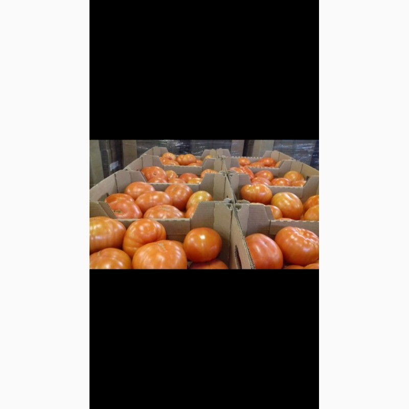 Фото 2. Огурцы помидоры