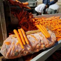 Морковь мытая (Иранская) оптом напрямую от производителя)
