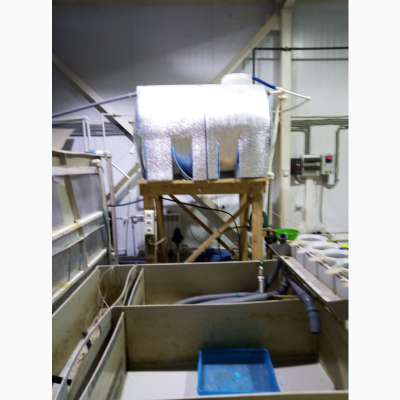 Фото 3. Продам Мальковую линию по выращиванию клариевого сома с инкубационным участком