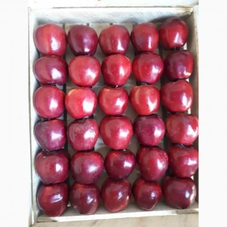 Яблоки Старкримсон оптом урожай 2020г., от поставщика с доставкой