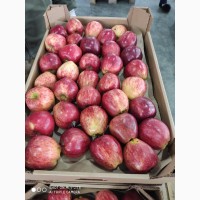 Яблоки оптом сорт Ред Делишес