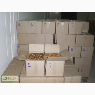 Грецкий орех в Молдове +доставка от 20 тонн