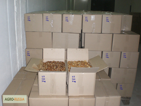 Грецкий орех в Молдове +доставка от 20 тонн