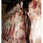 Мясо-говядина быки молодняк в полутушах