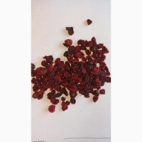 Брусника ягода сушеная (оптом от 5кг)