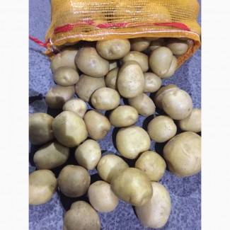 Картофель мытый Пакистан прямой импортер в Краснодаре