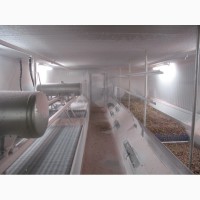 Камеры для Шоковой Заморозки овощей и фруктов (Камеры, Туннели, Шкафы)