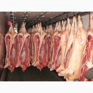 Свинина охлажденная в полутушах оптом 2 кат. 159 р/кг