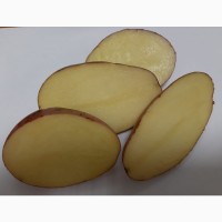 Картофель оптом калибр 5+ от фермера