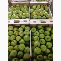 Яблоки калиброванные сорт Глостер