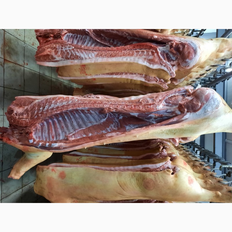 Фото 2. ООО Сантарин, реализует мясо свинины, говядины, баранины, блочное
