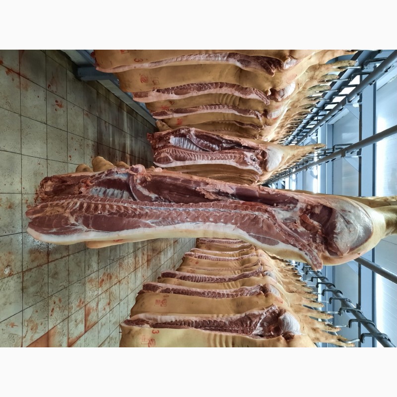 Фото 3. ООО Сантарин, реализует мясо свинины, говядины, баранины, блочное