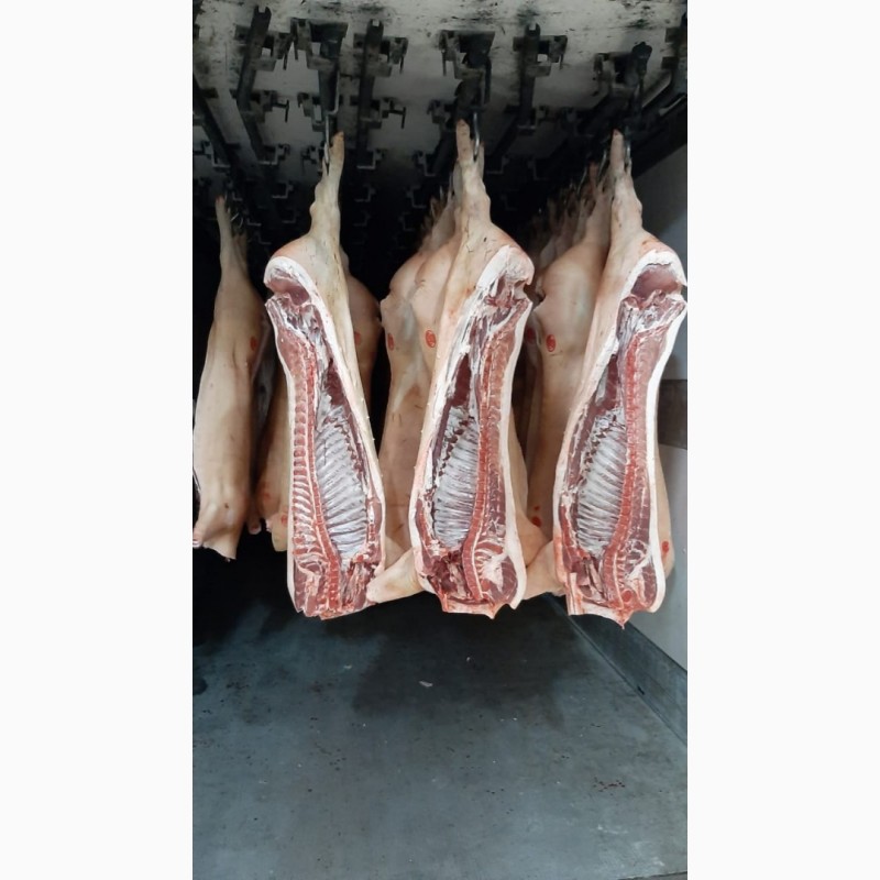 Фото 4. ООО Сантарин, реализует мясо свинины, говядины, баранины, блочное