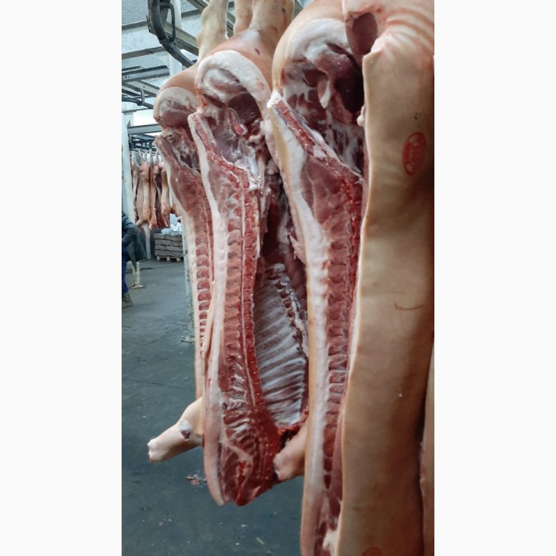 Фото 5. ООО Сантарин, реализует мясо свинины, говядины, баранины, блочное