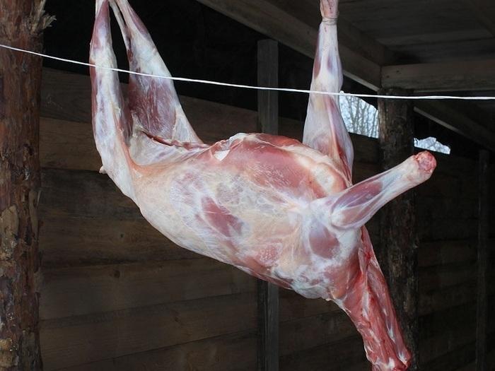Фото 6. ООО Сантарин, реализует мясо свинины, говядины, баранины, блочное