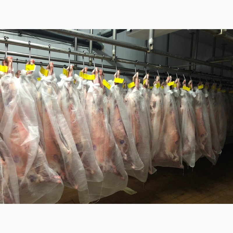 Фото 7. ООО Сантарин, реализует мясо свинины, говядины, баранины, блочное