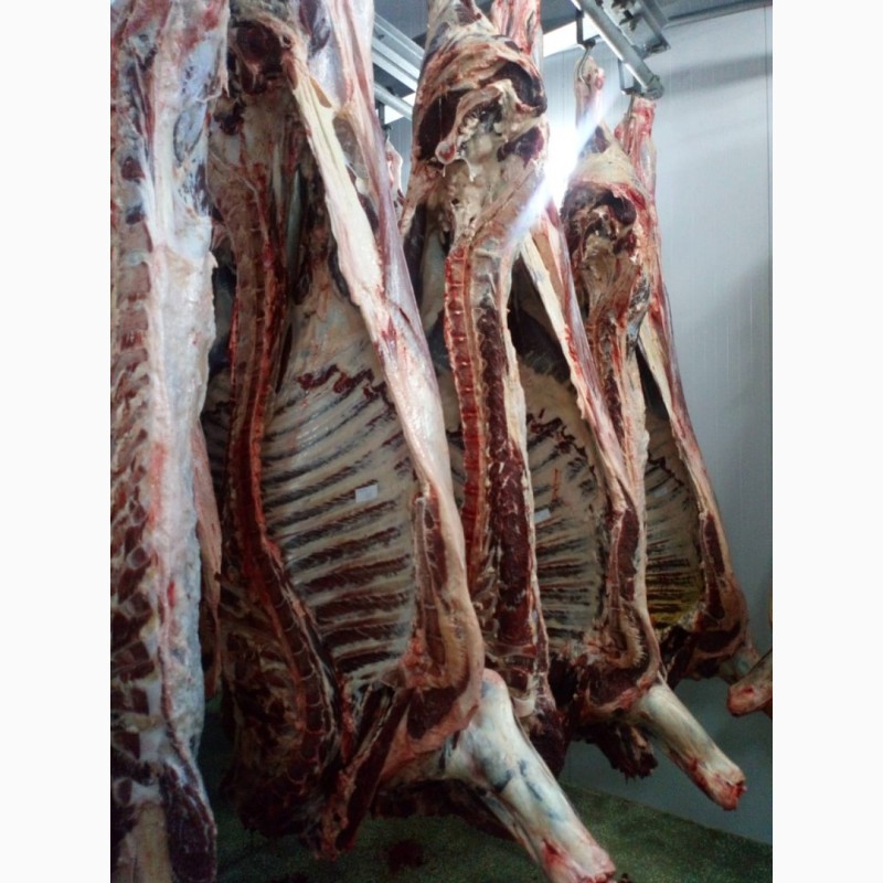 Фото 8. ООО Сантарин, реализует мясо свинины, говядины, баранины, блочное