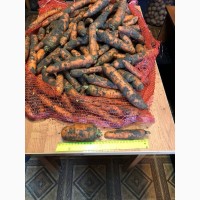 Морковь Нандская сухая и мытая от производителя от 18 руб/кг
