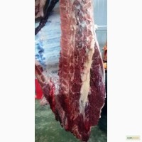 Мясо-говядина быки с откорма мясного направления Абердин-ангусская порода